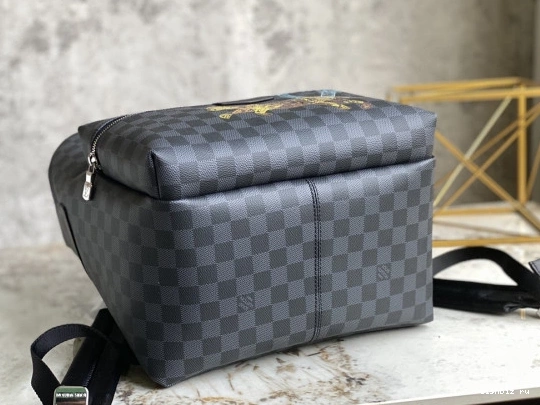 WIS LOUIS DISCOVERY VUITTON BACKPACK 0210